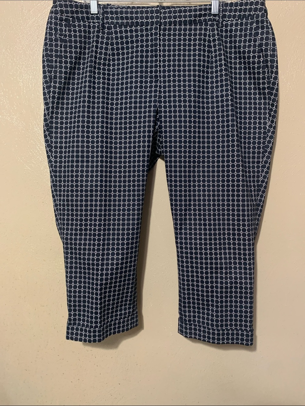 Talbots 18WP Navy and White Ankle Cropped Pants